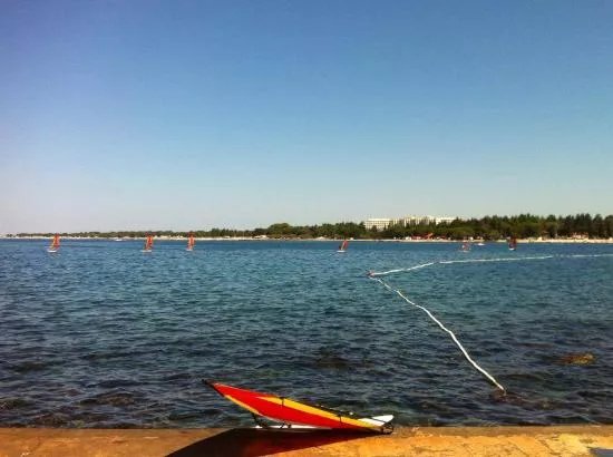 ProSurf