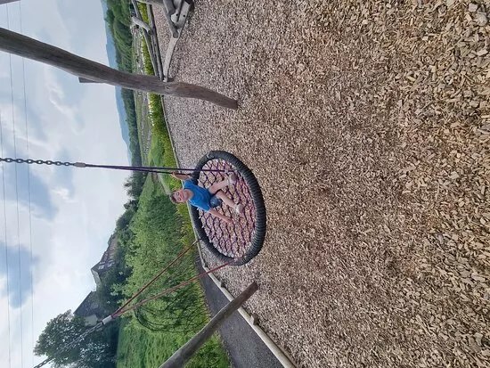 Colliers Adventure Farm