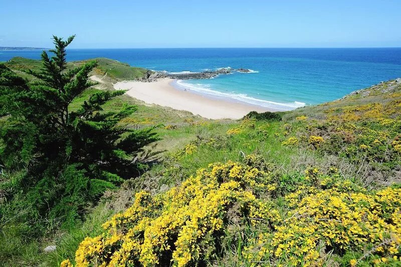 Comfortable holiday home 700 m from the beach