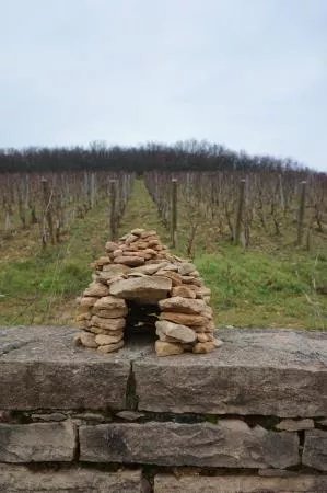Burgundy Report Tours - Day Tours