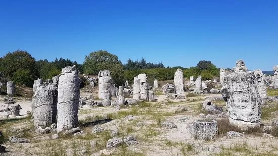Stone Forest