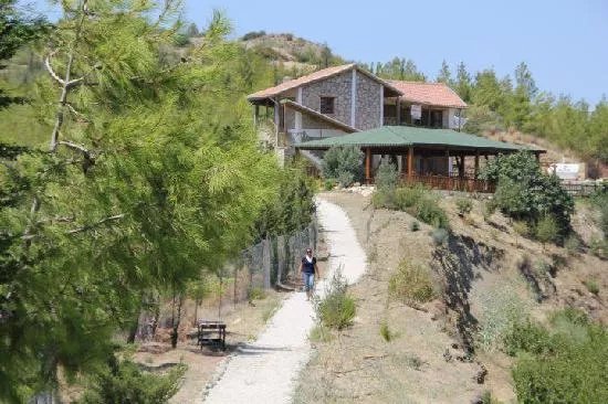 Cyprus Organic Farm