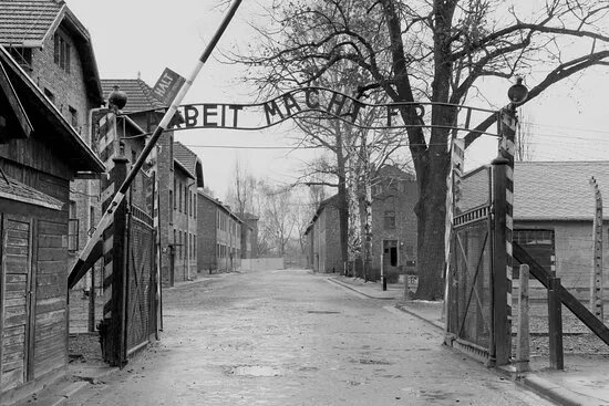 Auschwitz Tour - Krakow Discovery