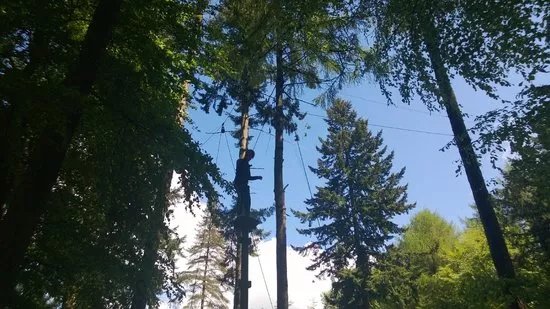 Forest of Dean Adventure Activities