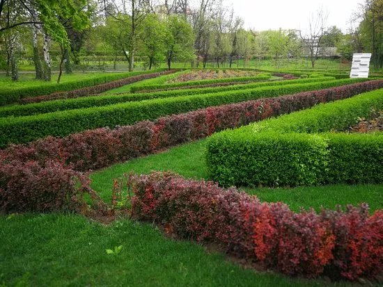 Gradina Botanica Craiova (Botanical Garden)