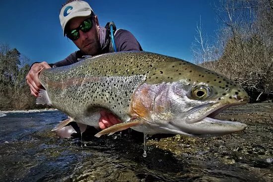 Slovenia Fly Fishing