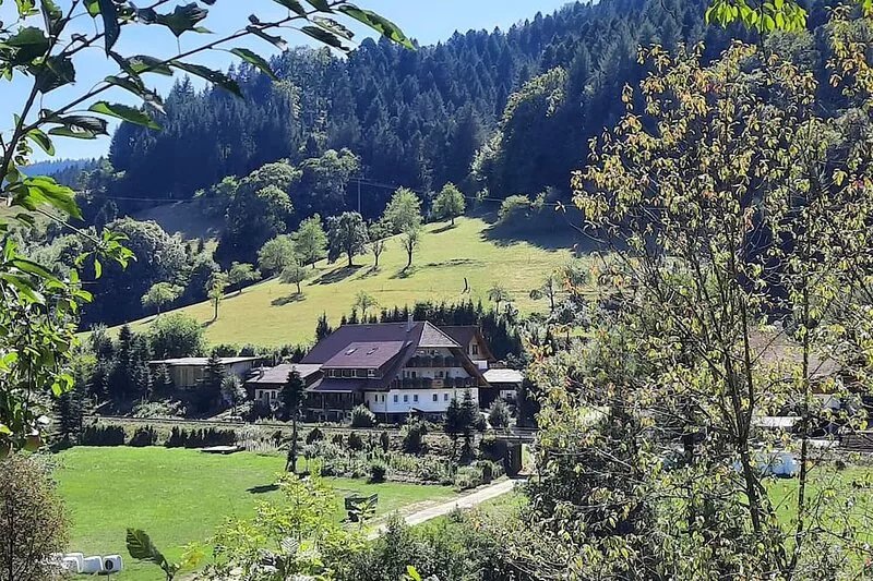 Langenhof - Holiday apartment 60sqm, vacation on the farm in the Black Forest