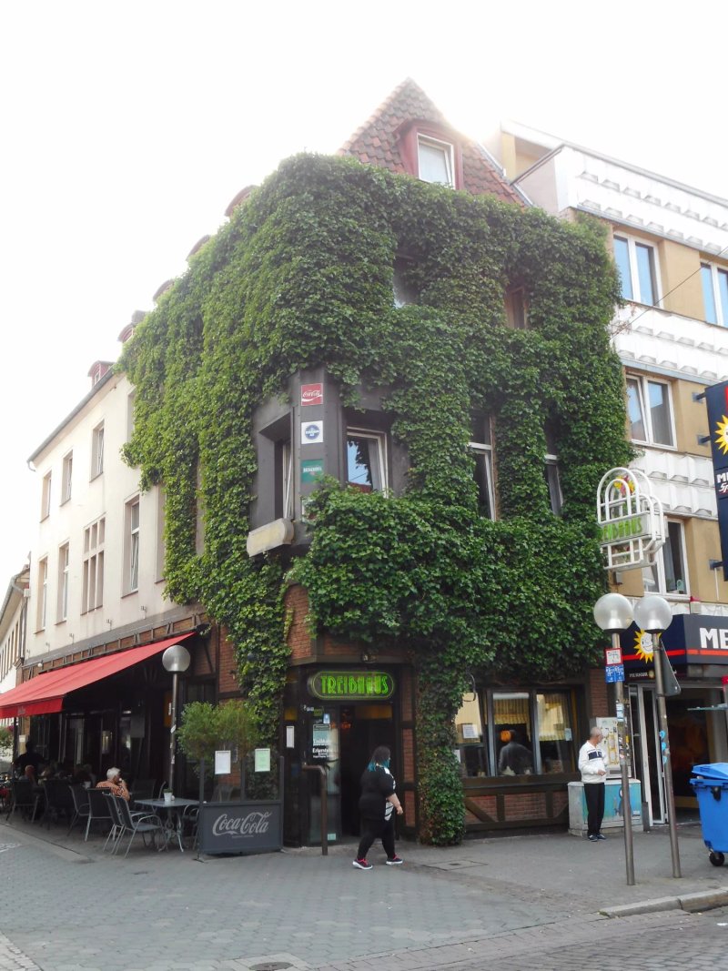 Treibhaus