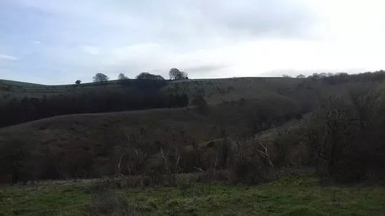 Pegsdon Hills Nature Reserve