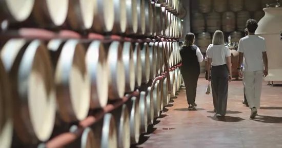 Cantina Conti Zecca