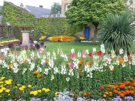 Bath Gardens