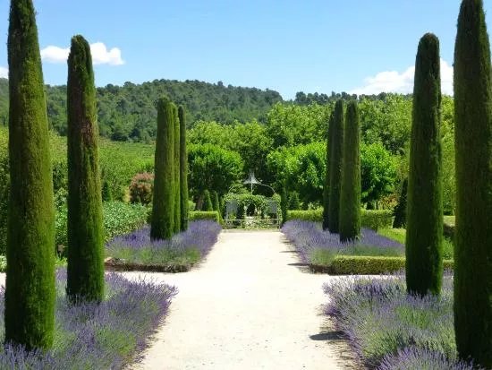 Discover Provence