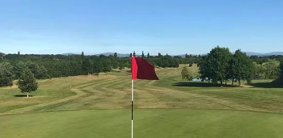 Millicent Golf Club