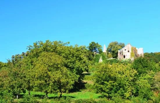 Burgruine Landeck