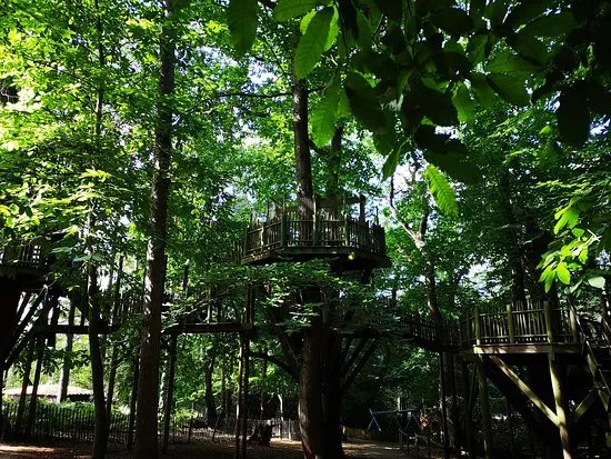 Bewilderwood Norfolk