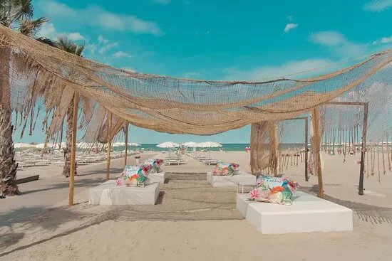 Lab Beach 44