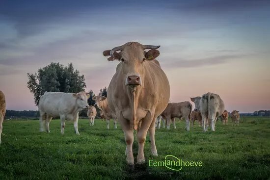 De Eemlandhoeve