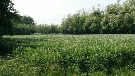 Parco Alto Milanese