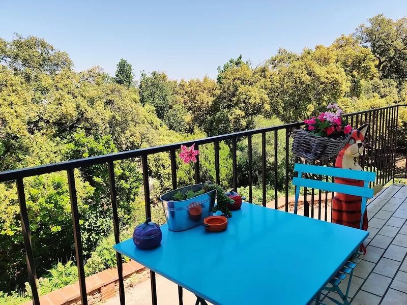 Air-conditioned villa with swimming pool among the cork oaks.