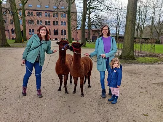 Alpaz - Alpaca Erembodegem