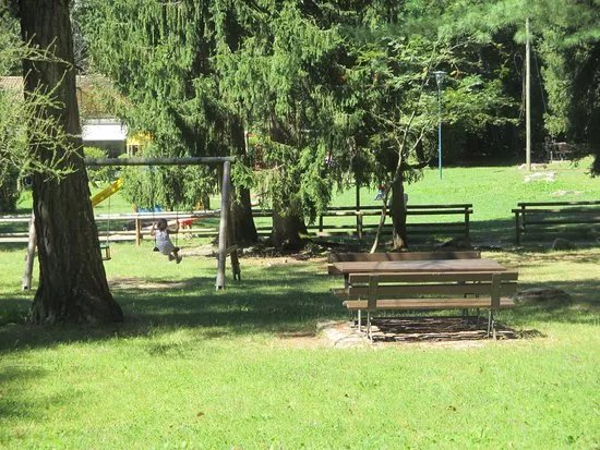 Sentiero degli Gnomi - Pineta Albere