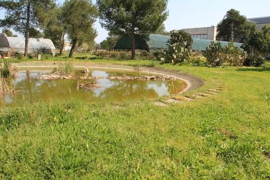 Orto Botanico