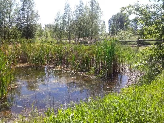 Bosco dei 100 Passi