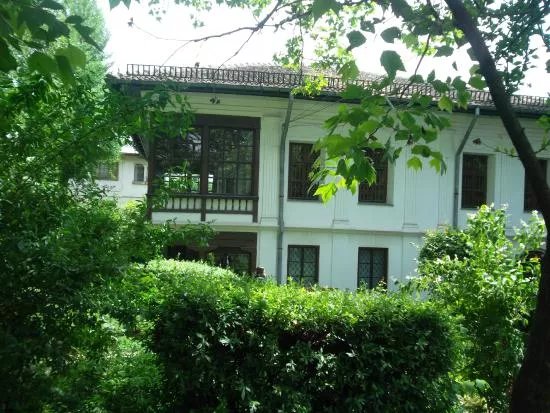 Theodor Pallady Museum