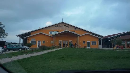 Azienda Agricola Vaka Mora
