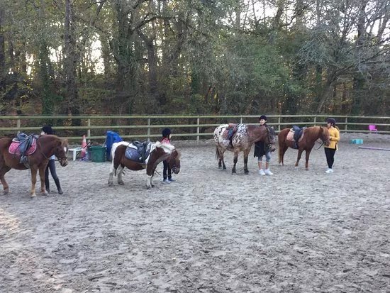 Centre Equestre Des Menhirs