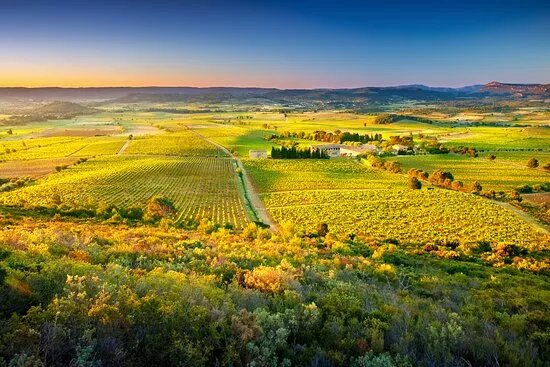 Chateau Ollieux Romanis