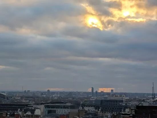 The Roof Garden