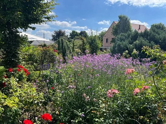Rose Garden ADR Rosarium Geistinger Landhoff