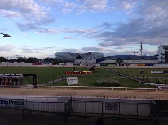 Shelbourne Park Greyhound Stadium