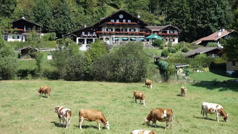 Beautiful apartment with a view of the Kaiser