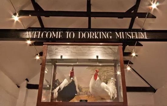 Dorking Museum and Heritage Centre