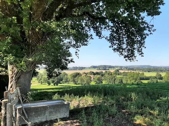 Randonnees Au Depart De La Chapelle Montligeon