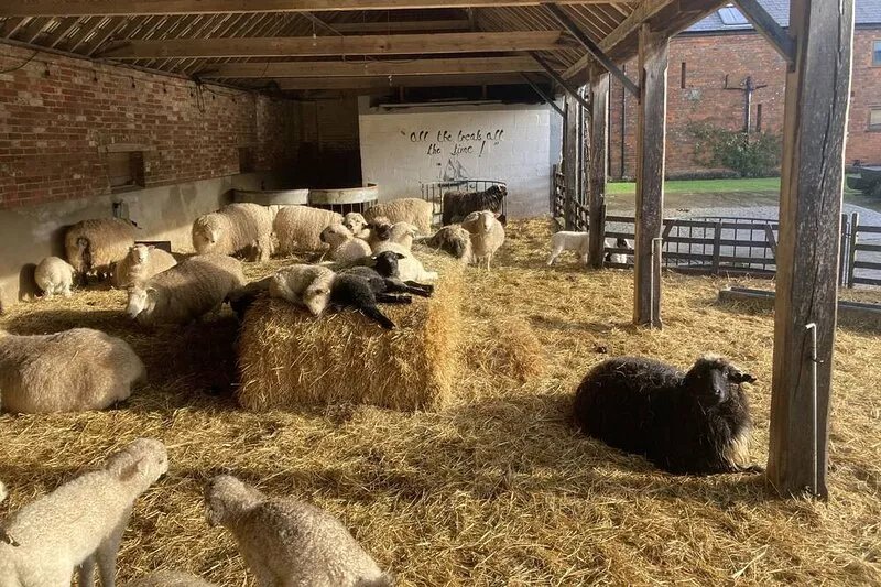 The Old Stables at Warborne Farm