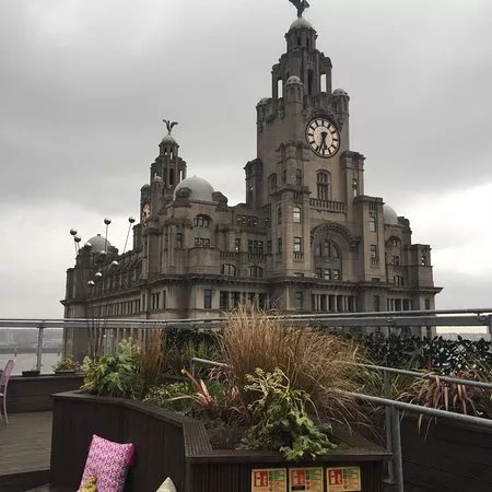 Goodness Gracious Roof Garden