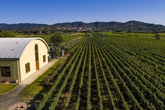Azienda Agricola Terradonna