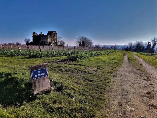 Donjons De Beaumont Ou Tour Negreteau