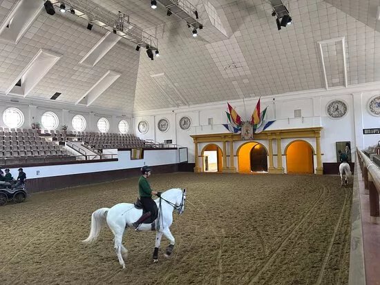 Royal Andalusian School of Equestrian Art