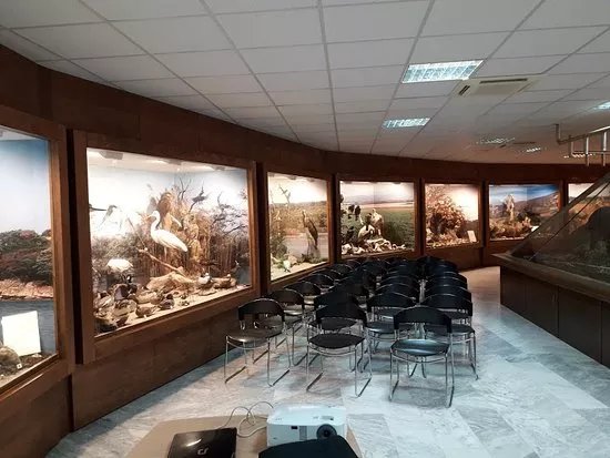 Museum  Of Natural History - Municipality of Serres