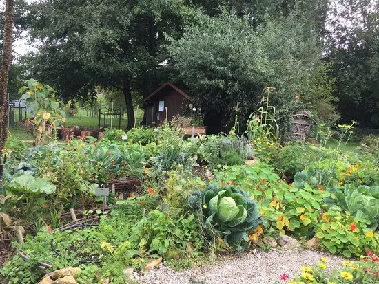 Association des Cartons et Jardins du Coeur