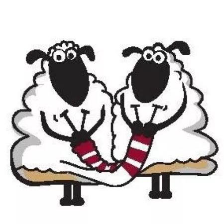 Wool for ewe