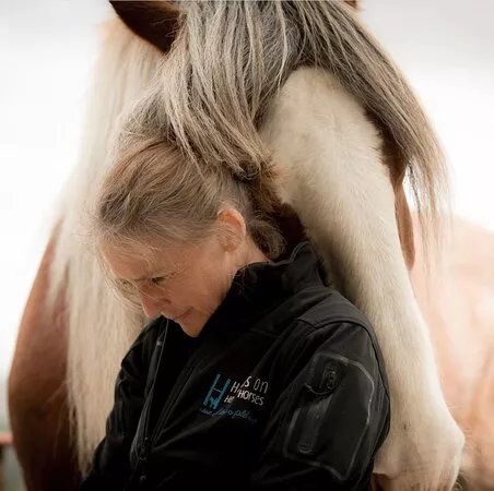 Meditation with Heavy Horses