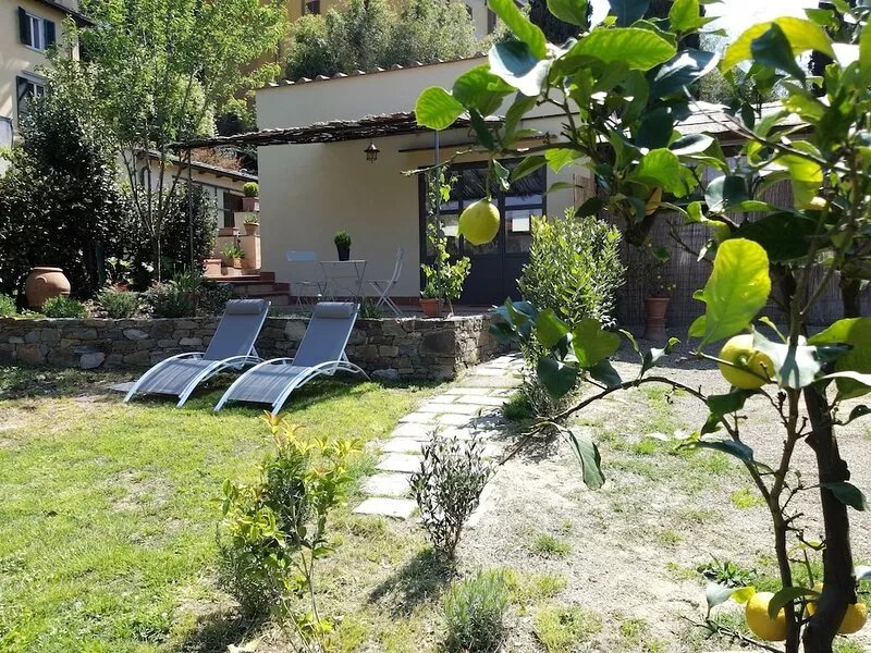 Under the stars, Surrounded by greenery a stone's throw from the center of