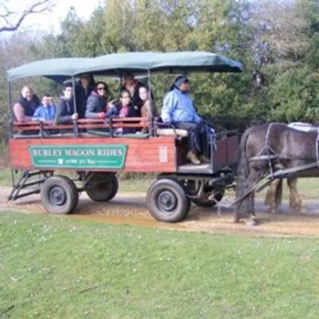 Burley Wagon Rides