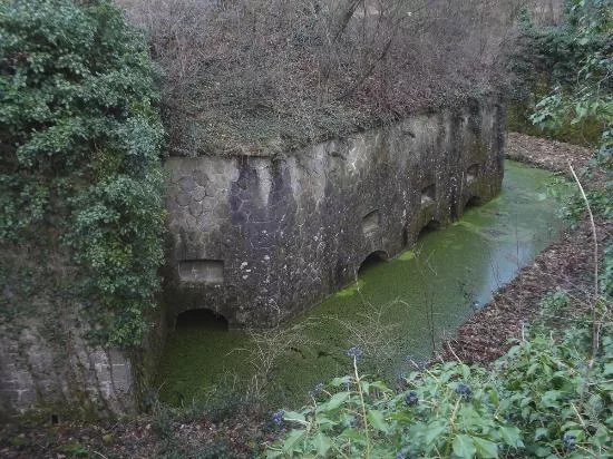 Fort du Bruissin