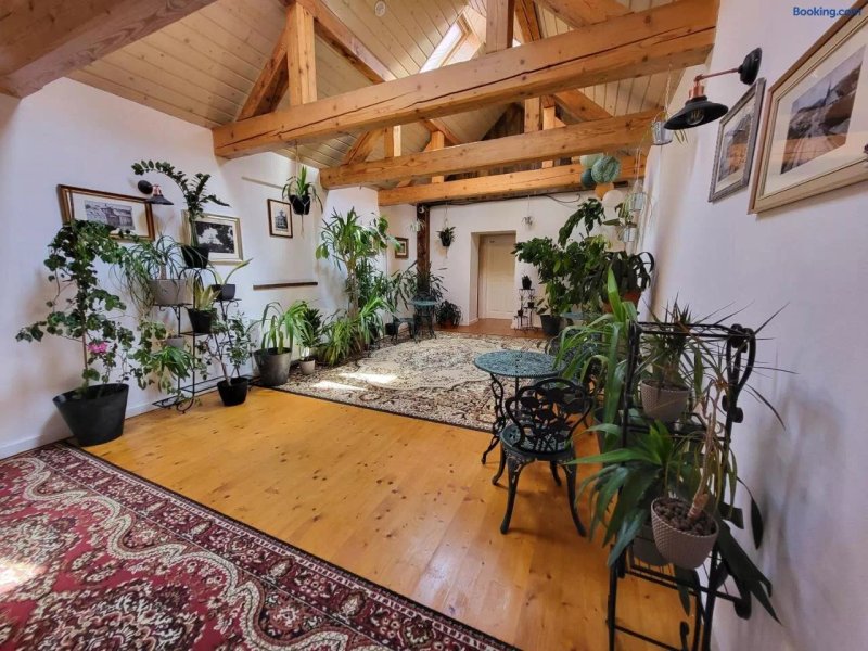 HoStel Cosmopolitan